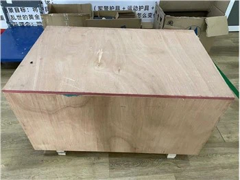 Perisai Kerusuhan Tahan Peluru